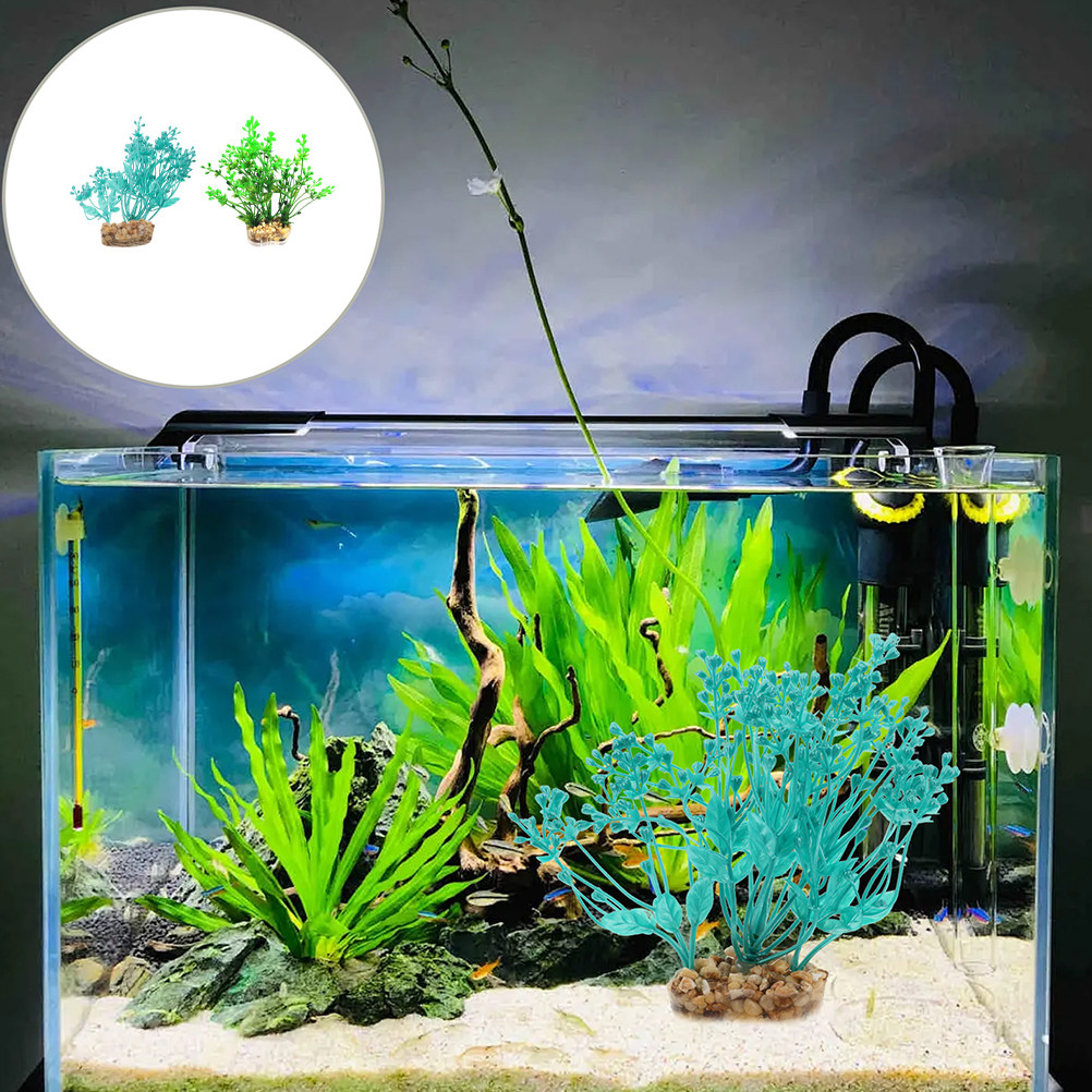 2Pcs Realistic Plastic Aquariu - Planted Aquarium Freshwater 评论和价格