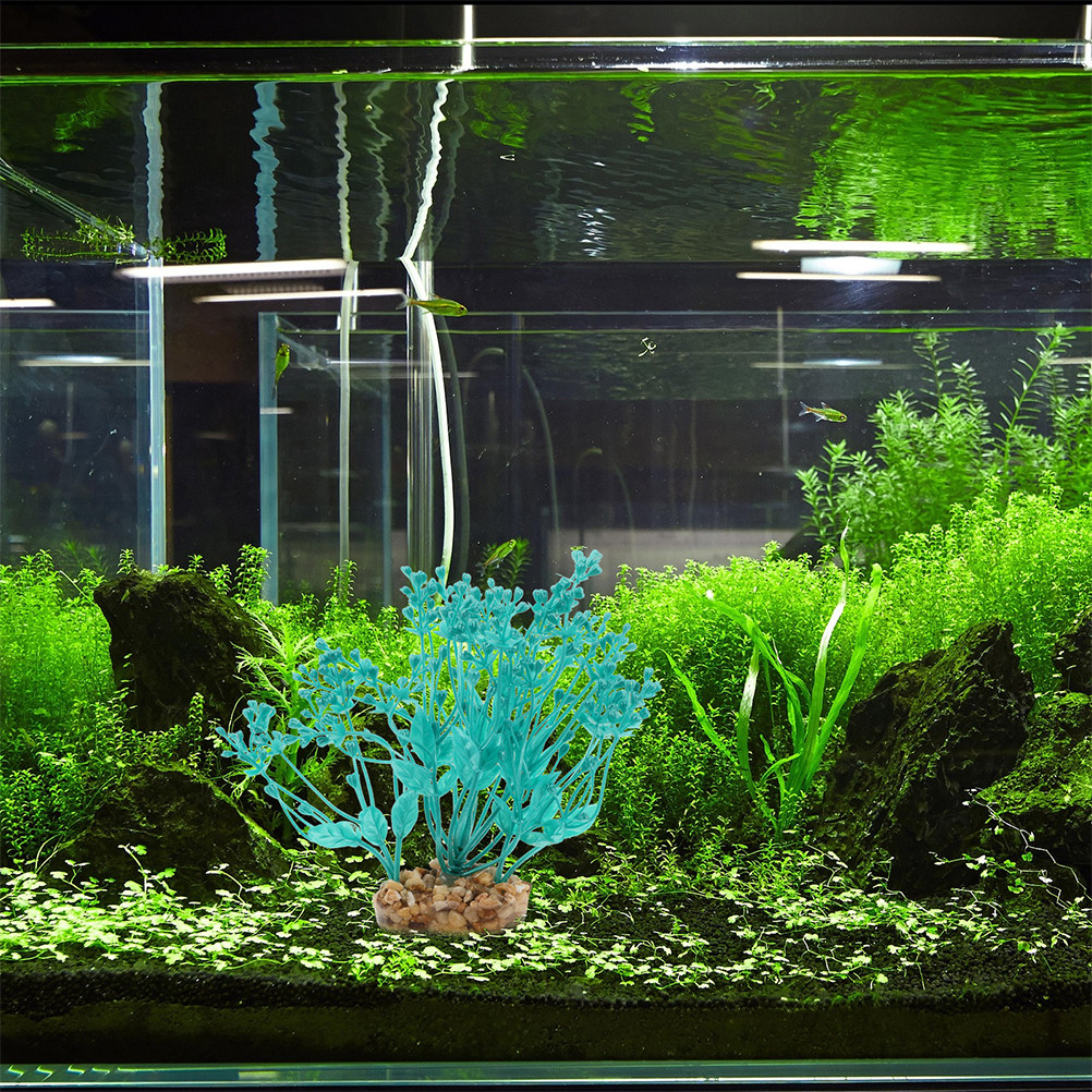 2Pcs Realistic Plastic Aquariu - Planted Aquarium Freshwater 评论和价格