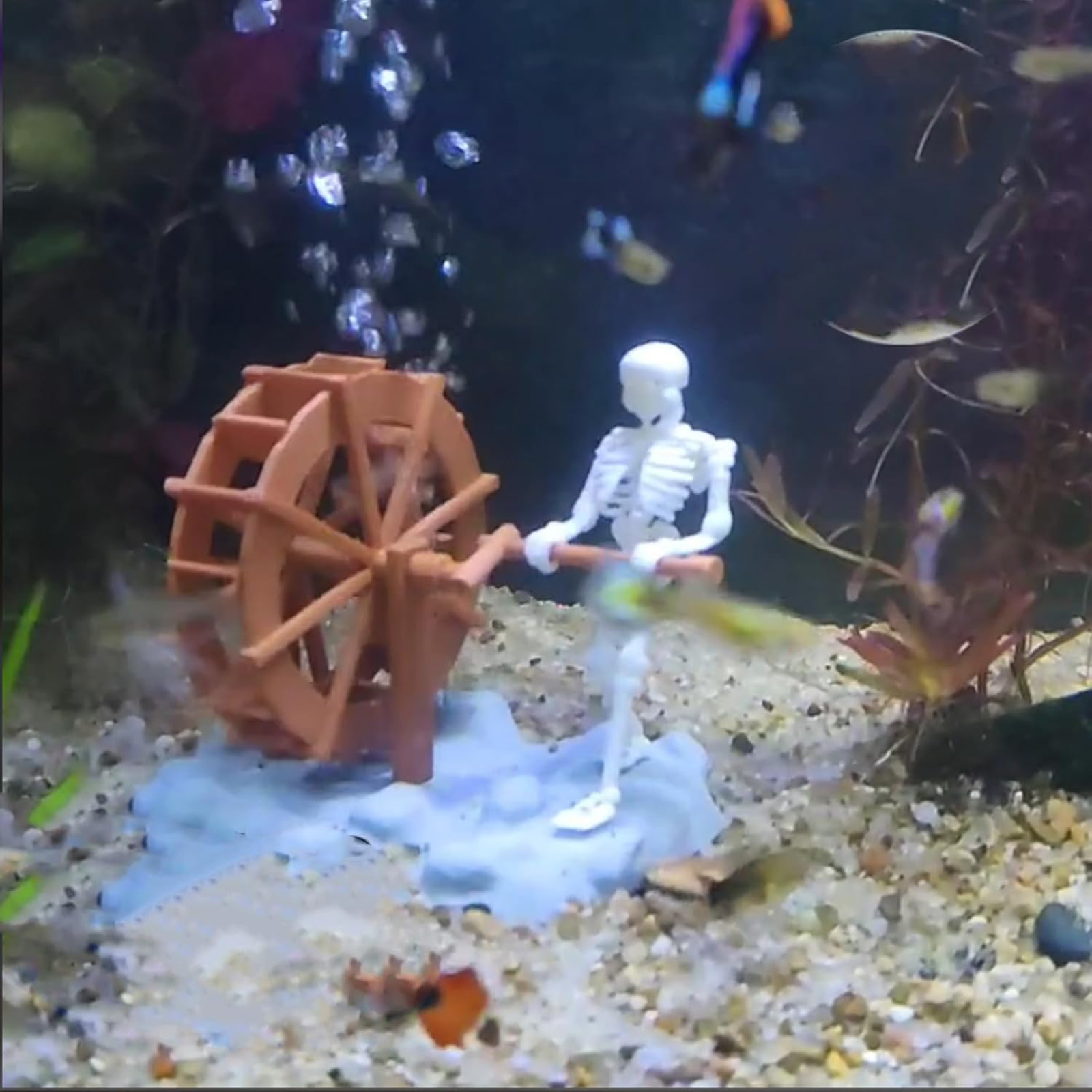 Skeleton Waterwheel Creative U - Aquarium Planting Ideas 评论和价格