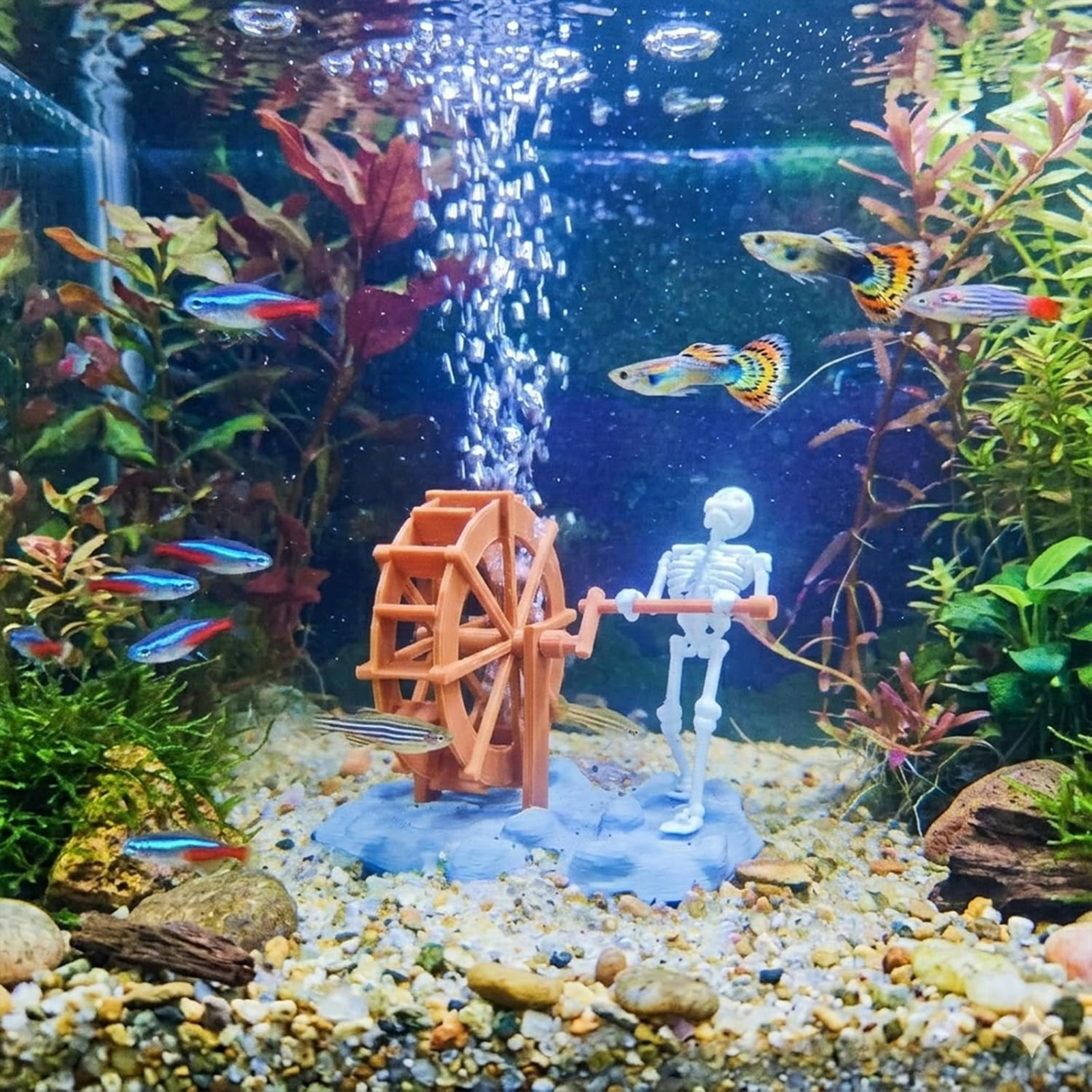 Skeleton Waterwheel Creative U - Aquarium Planting Ideas 评论和价格
