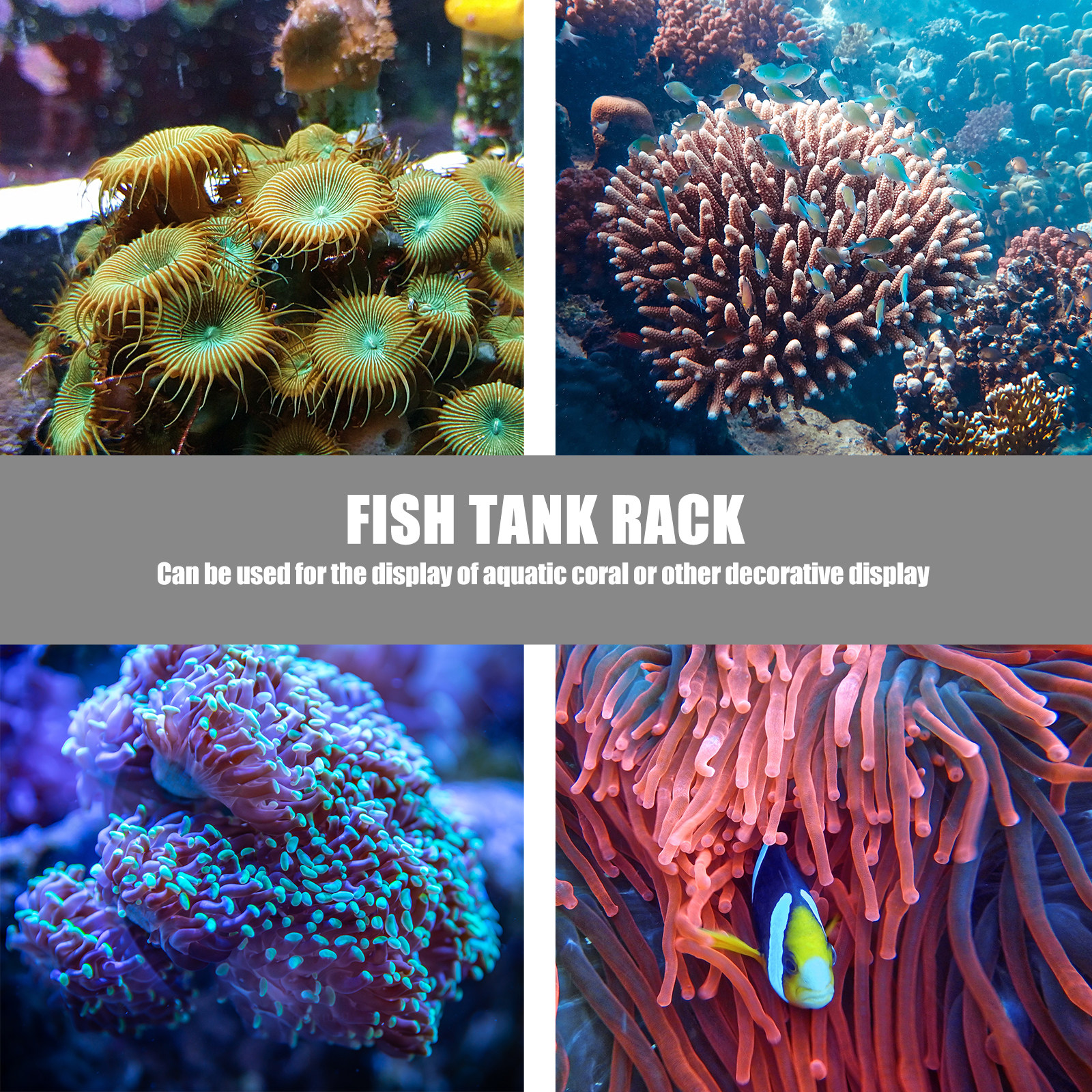1Pcs Coral Base Stylish Strong - Aquarium Planted Tank Setup 评论和价格