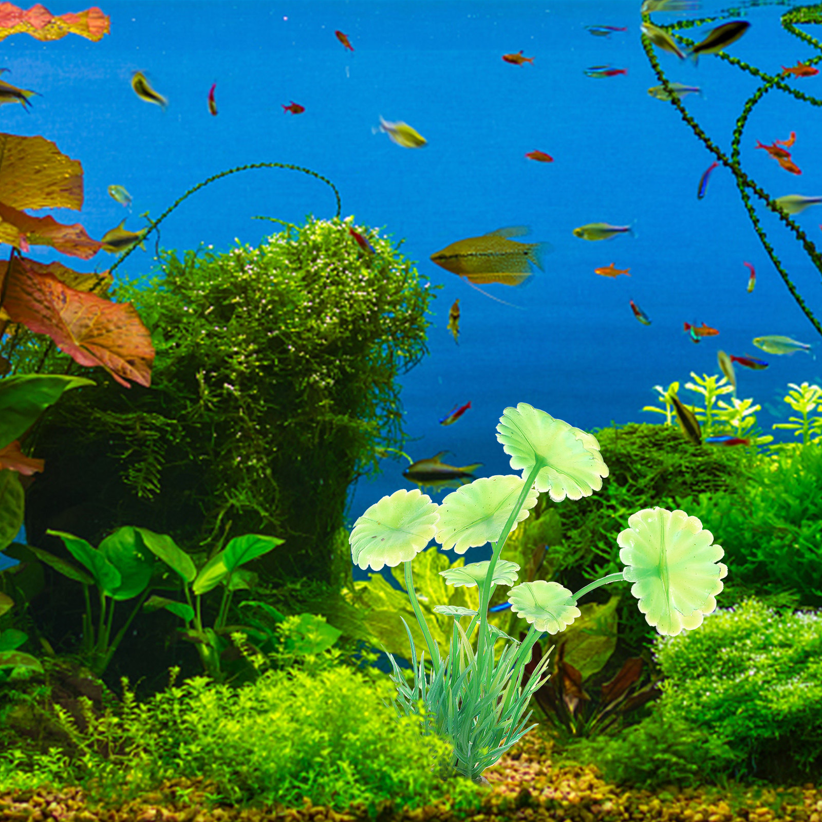 10Pcs Artificial Aquarium Gras - Aquarium Planted Tank Setup 评论和价格