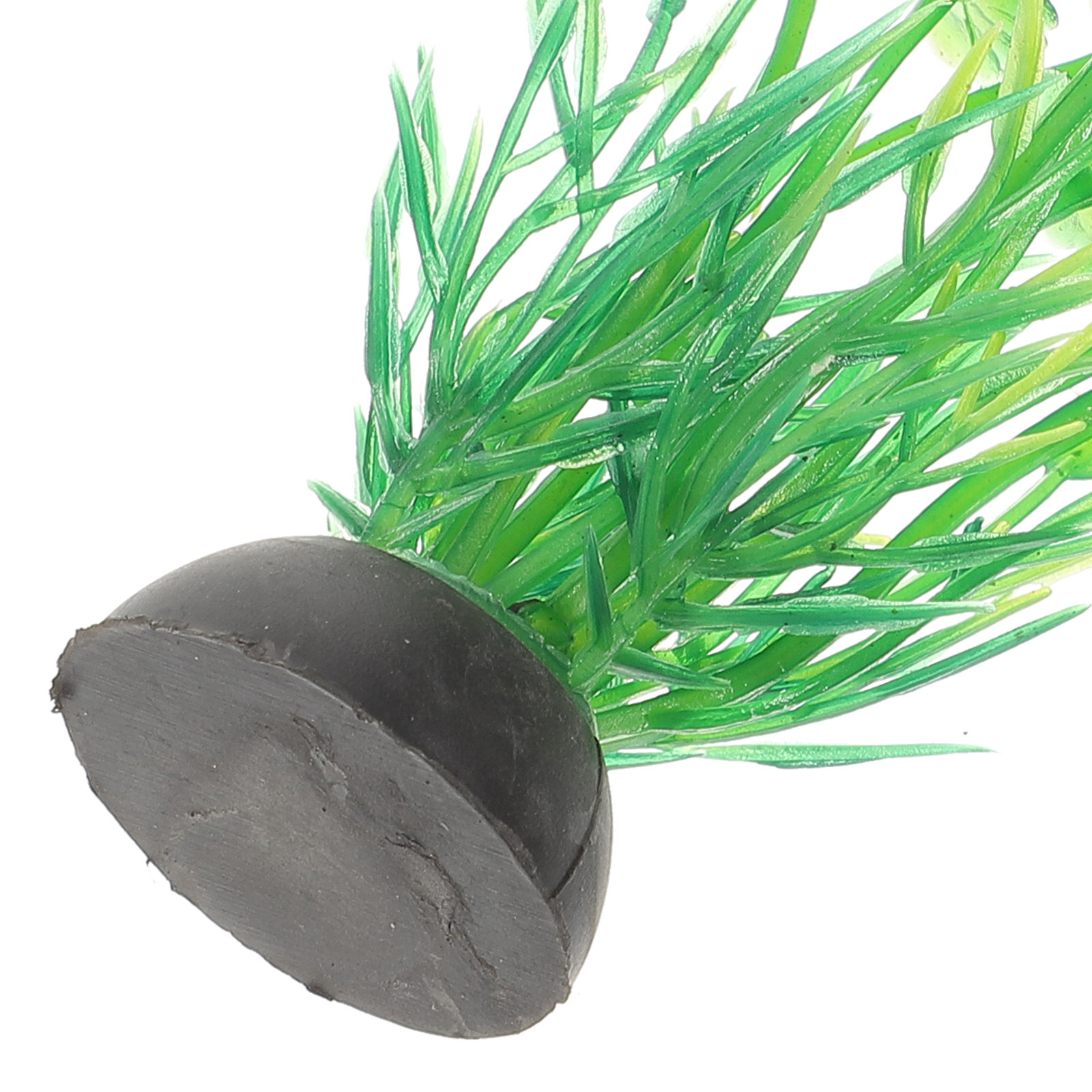 10Pcs Artificial Aquarium Gras - Aquarium Planted Tank Setup 评论和价格