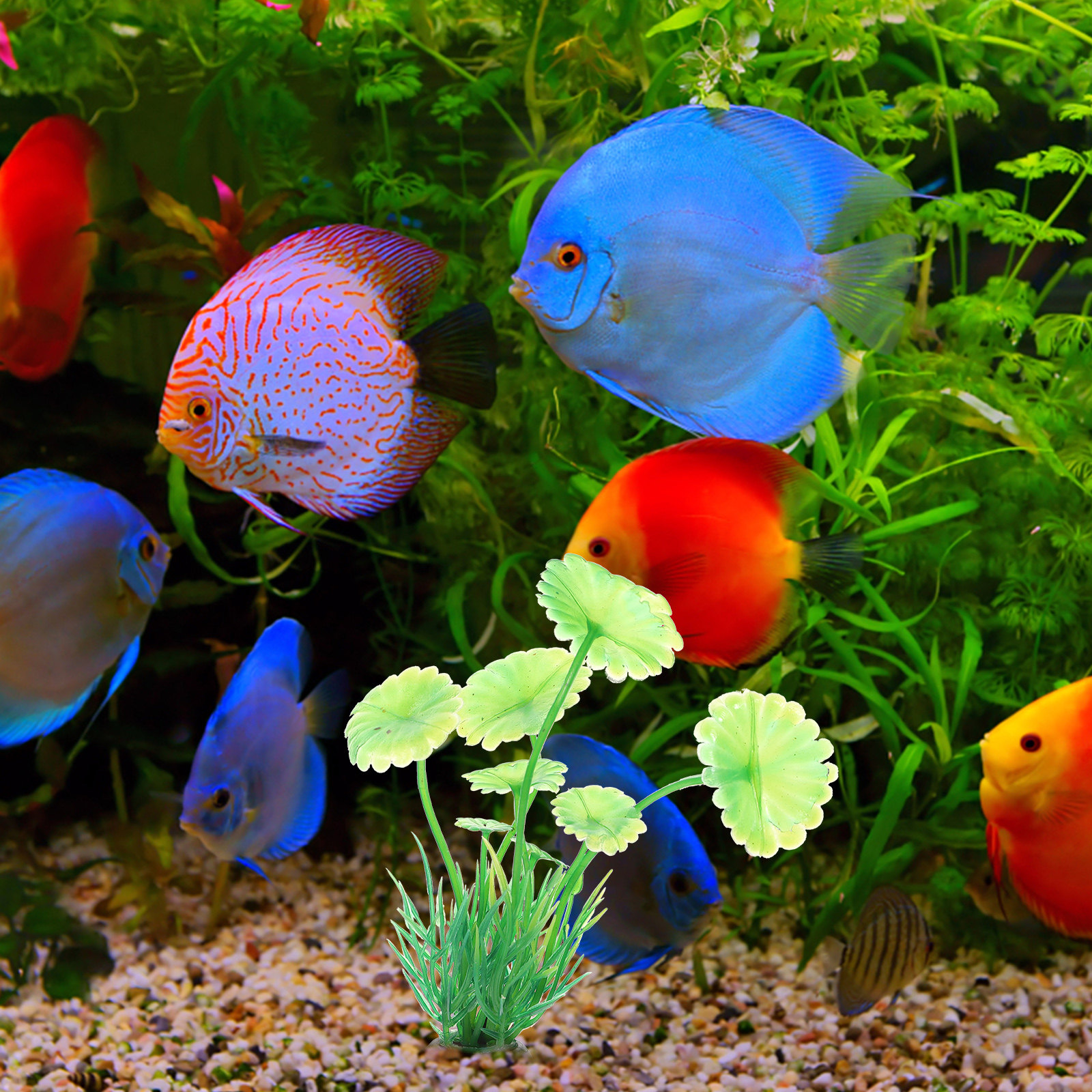 10Pcs Artificial Aquarium Gras - Aquarium Planted Tank Setup 评论和价格