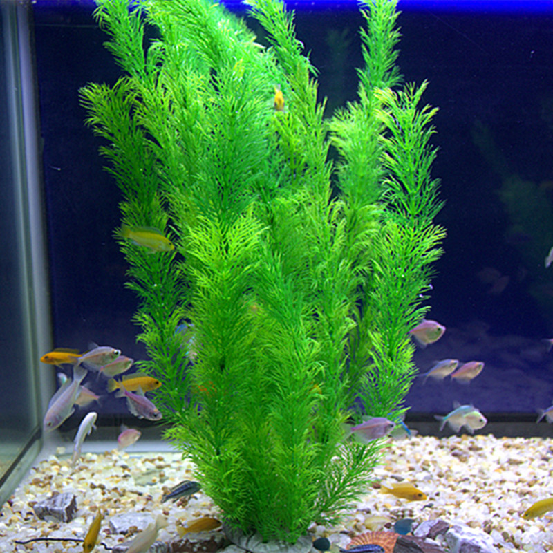30cm Aquarium Artificial Water - Planted Aquarium Freshwater 评论和价格