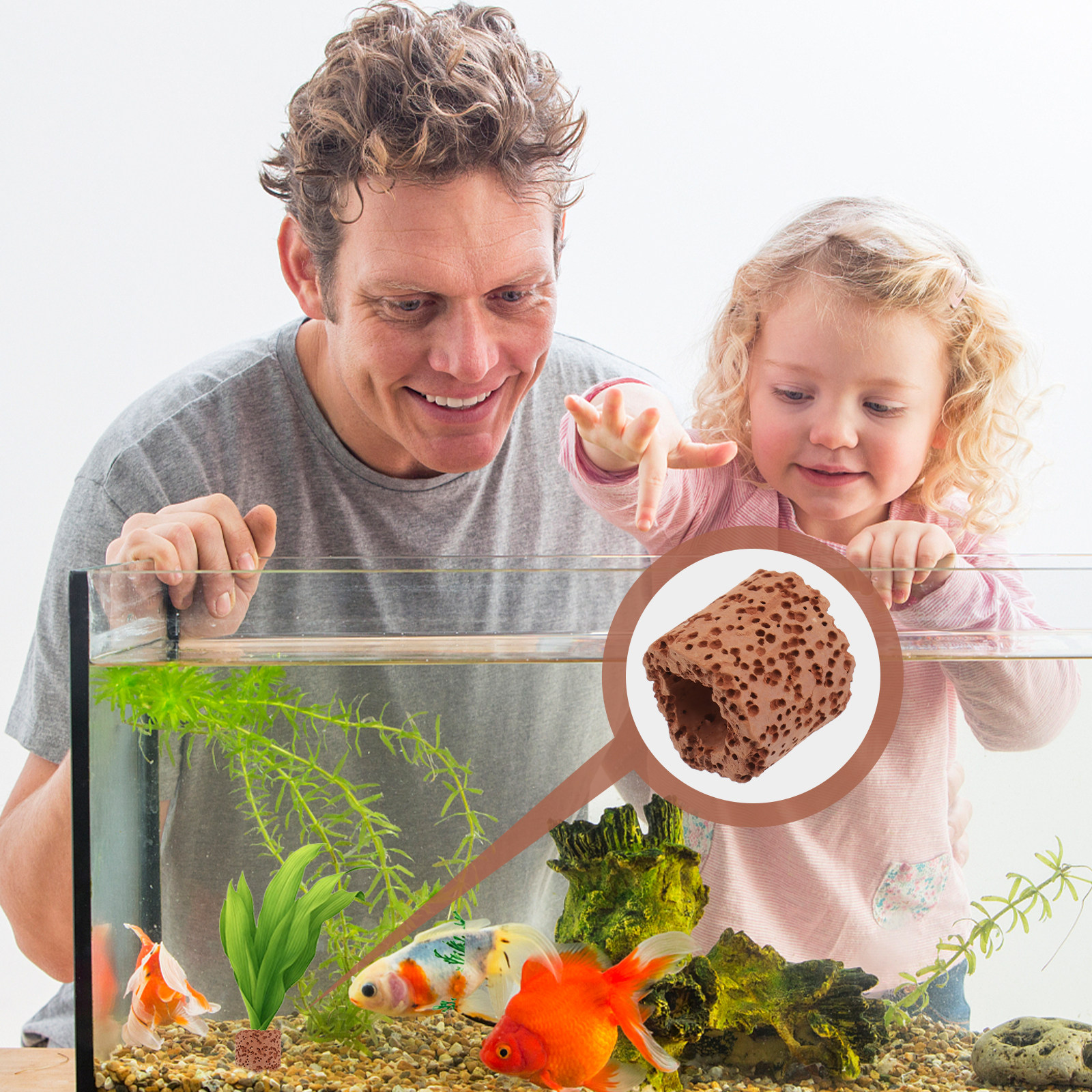 10Pcs Water Plant Fixed Ring H - Aquarium Planted Tank Setup 评论和价格
